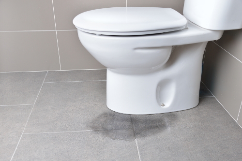 Toilet Leak Repair